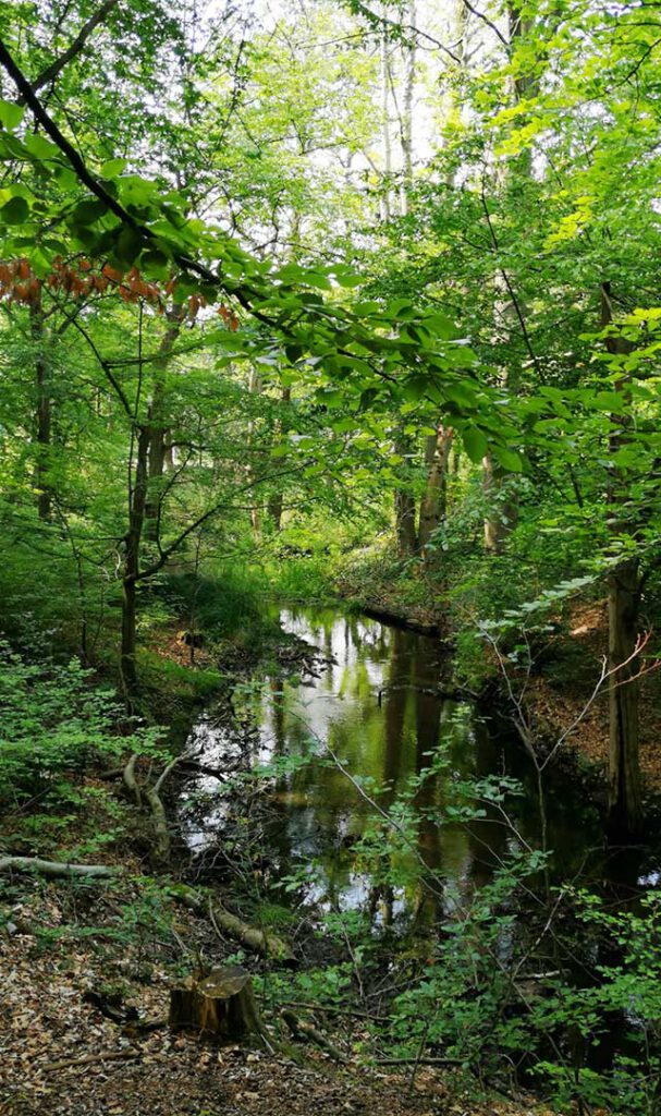 umgebung-wandern